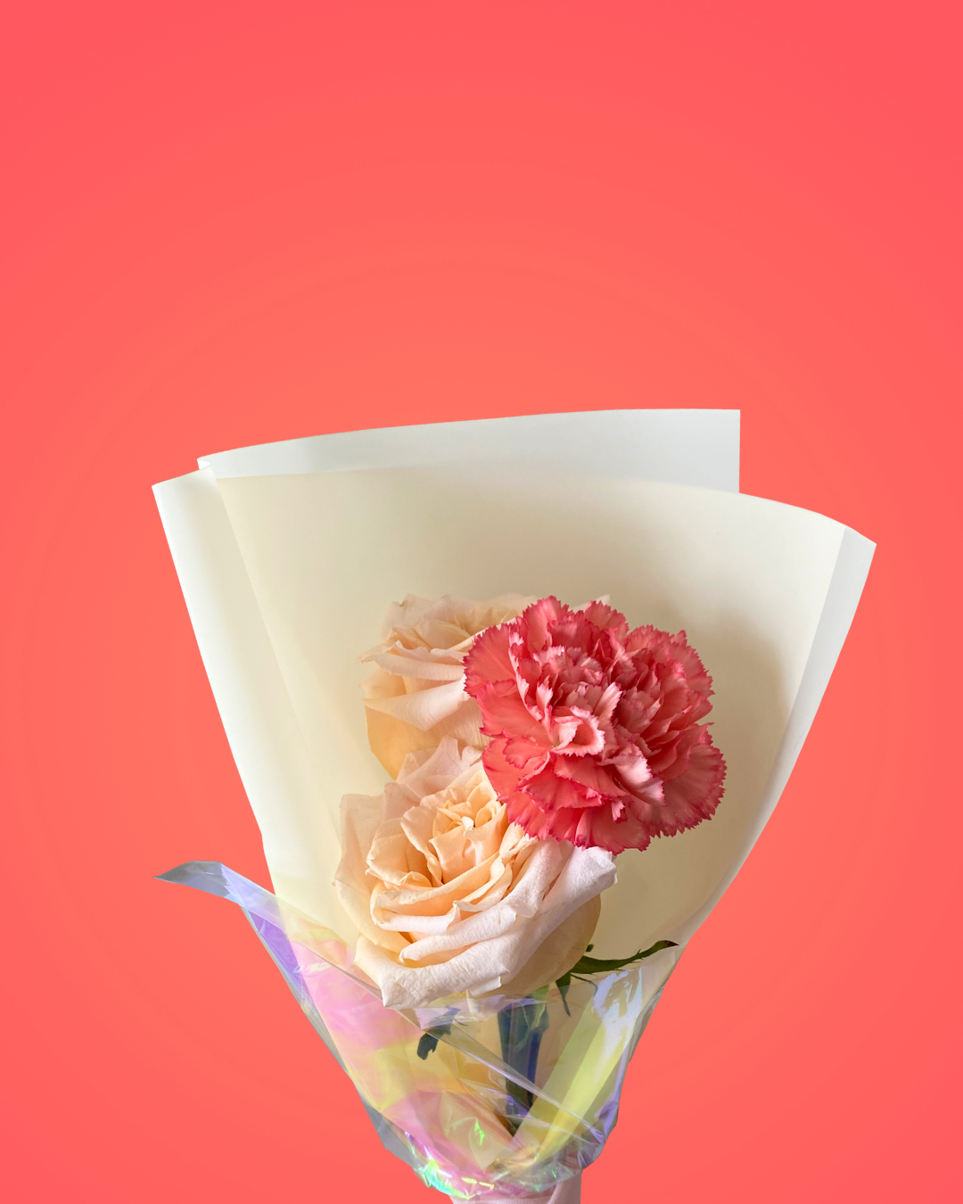 Pink Apricot