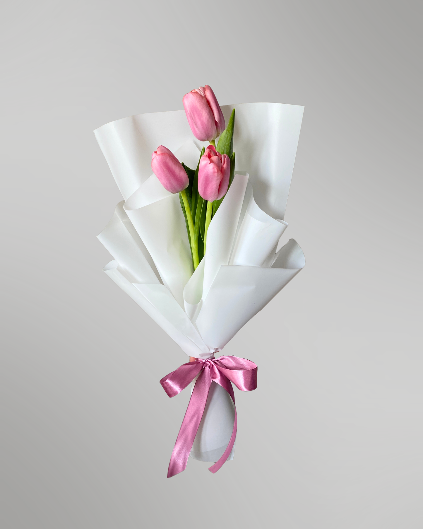 Candy Blush (Tulips)