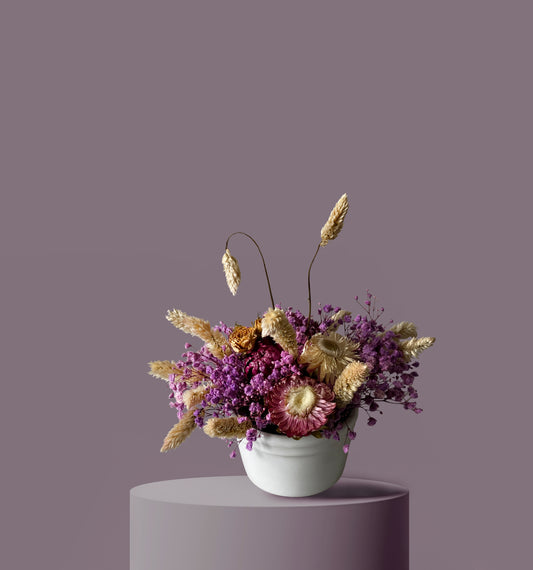 Straw Flowers and Gypsophila
