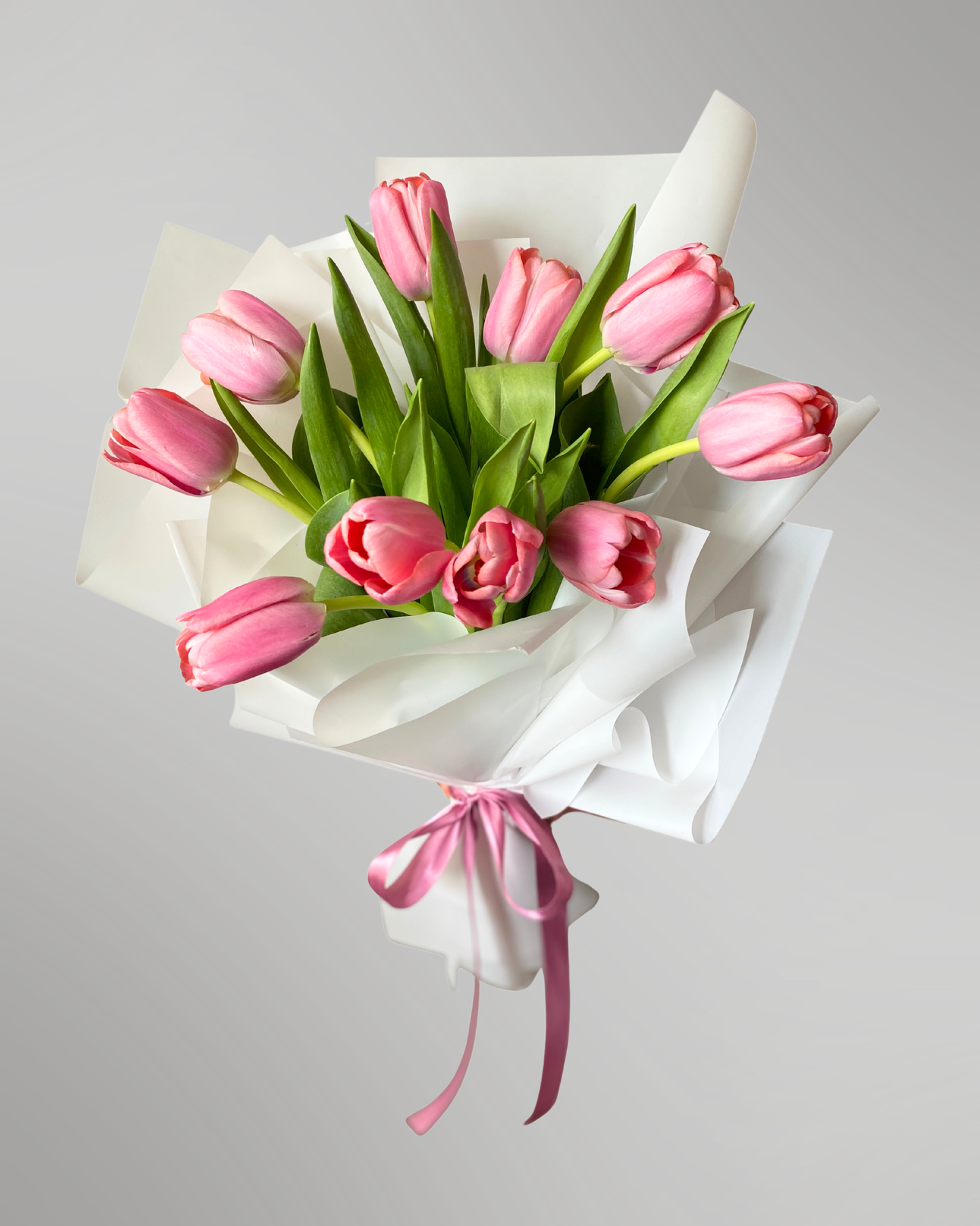 Candy Blush (Tulips)