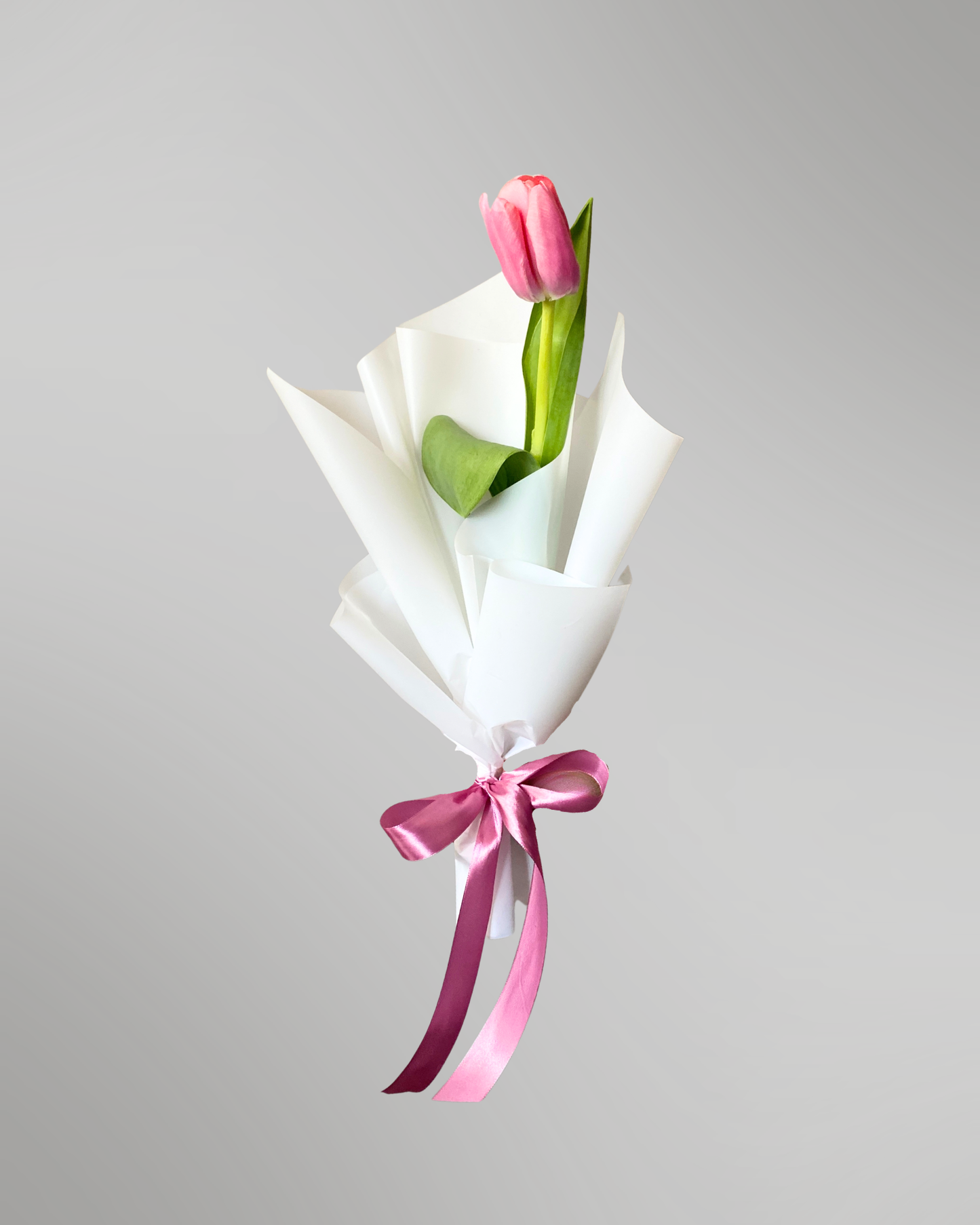 Candy Blush (Tulips)